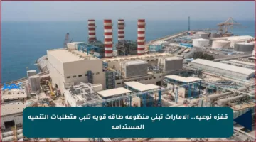 قفزة نوعية.. الإمارات تبني منظومة طاقة قوية تلبي متطلبات التنمية المستدامة